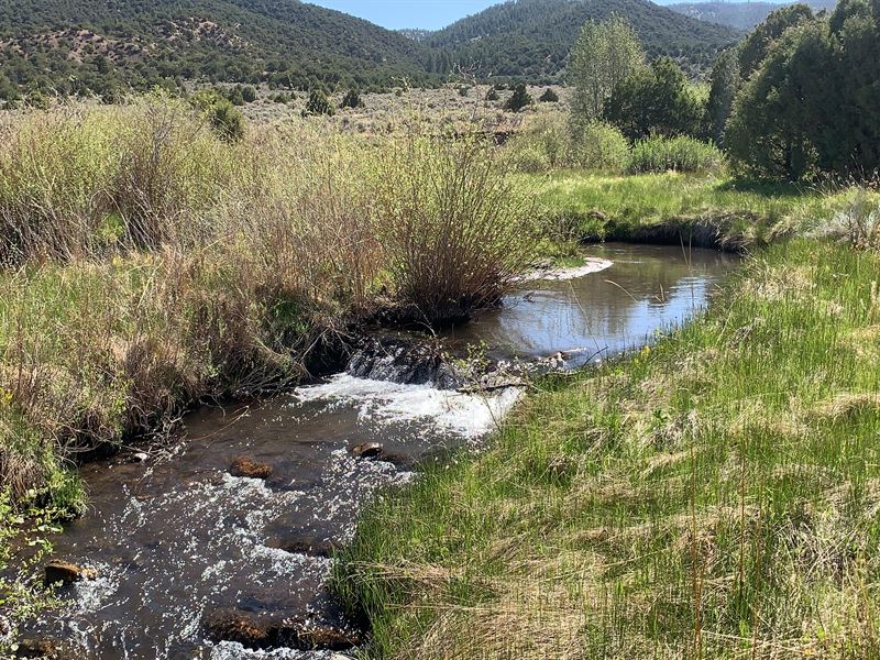 Right on The Creek in Sdcr : Fort Garland : Costilla County : Colorado