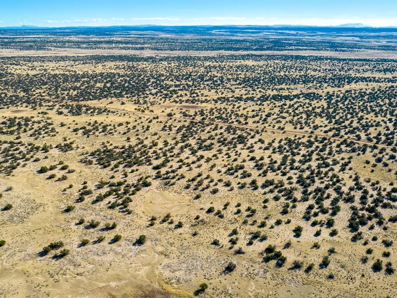 75 Ac in AZ Just $14750 Down : Saint Johns : Apache County : Arizona