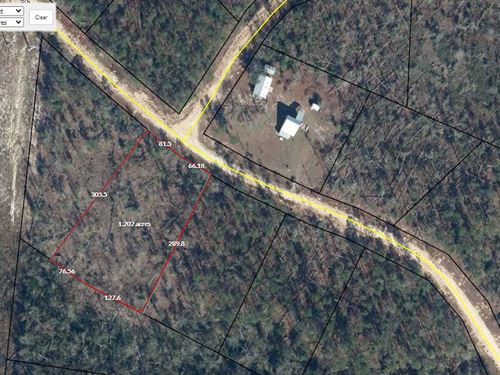 Compass Lakes Acre Awaits : Marianna : Jackson County : Florida