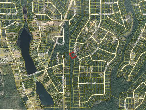 Equestrian Friendly 2+ Acre Lot : Alford : Jackson County : Florida