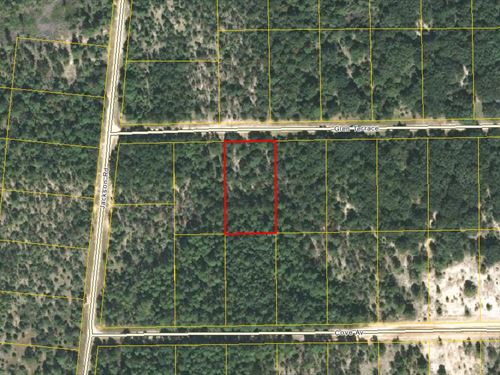 Equestrian Friendly Acre Awaits : Marianna : Jackson County : Florida