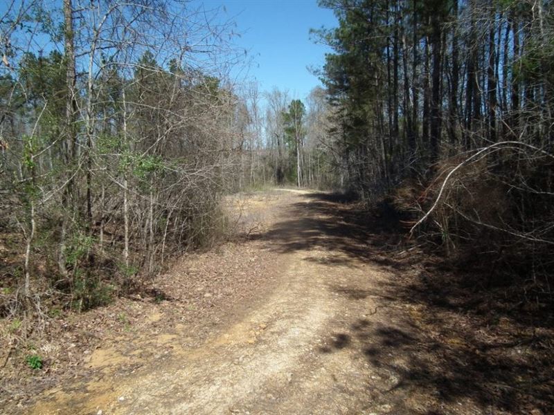 Chickasawhay Creek 237.42 ac : De Kalb : Kemper County : Mississippi