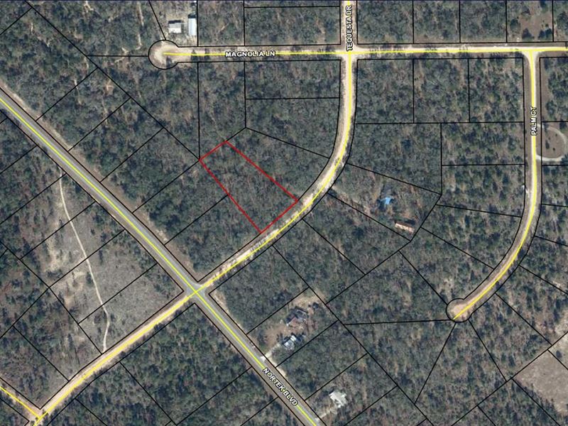 Equestrian Friendly Lake Community : Marianna : Jackson County : Florida