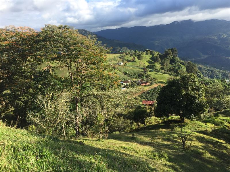 Mountain View, Small 3 Acre Farm : Orosi De Cartago : Costa Rica