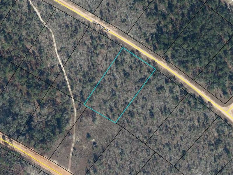Equestrian Friendly Acre : Marianna : Jackson County : Florida