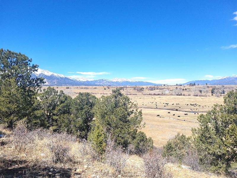 Vohs Ranch : Nathrop : Chaffee County : Colorado