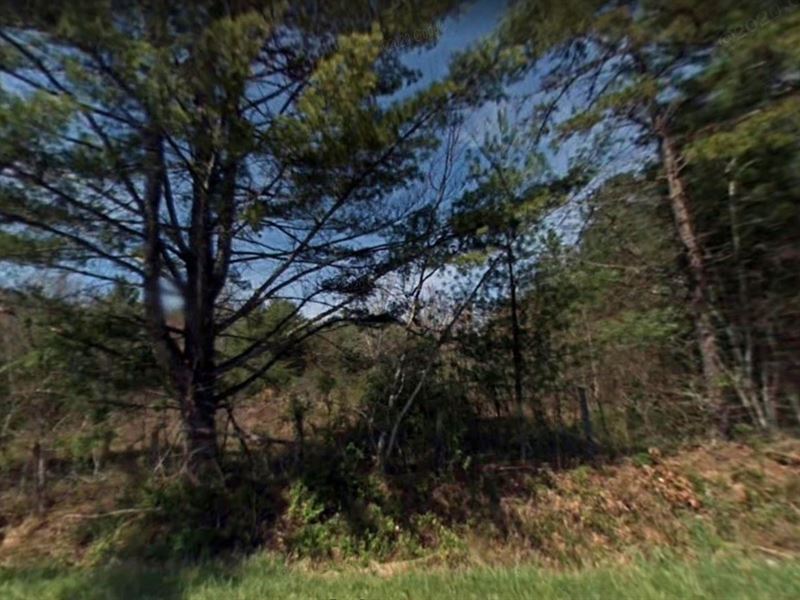 .84 Acre Lot for Sale in Fairview : Fairview : Buncombe County : North Carolina