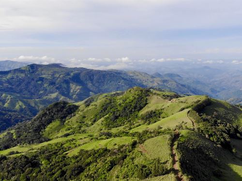 Monteverde Development Opportunity : Monteverde : Costa Rica