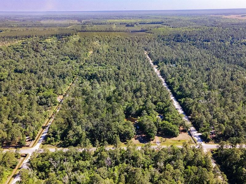 117K Sqft in Bunnell, FL, Land for Sale by Owner in Florida, 306843