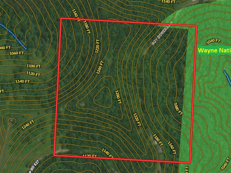 40 Acres Bordering National Forest : Sardis : Monroe County : Ohio