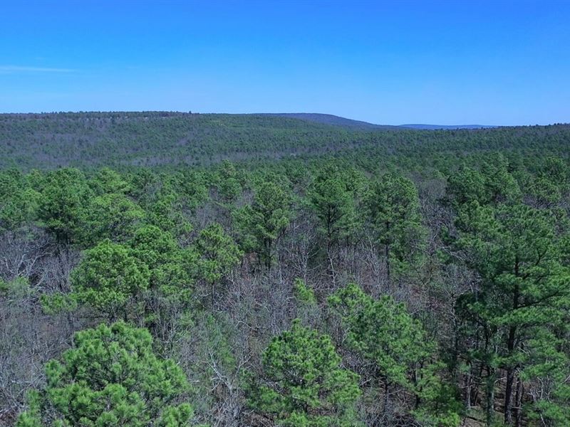 10.37 Acres in Latimer County, OK : Wilburton : Latimer County : Oklahoma