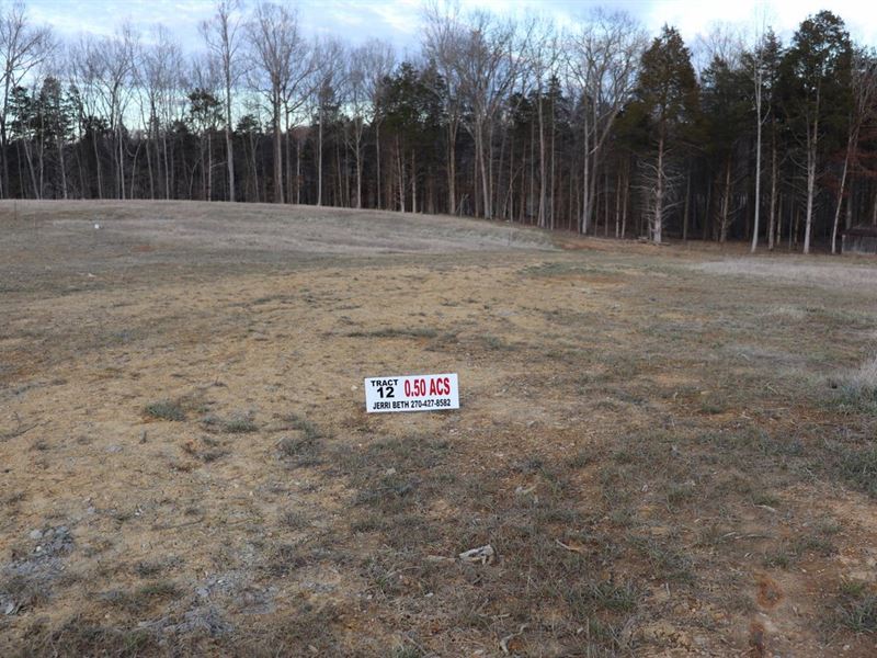 The Cove at City Lake Subdivision : Tompkinsville : Monroe County : Kentucky