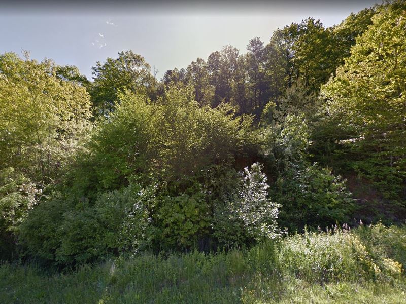 1.41 Acre Lot for Sale in Leicester : Leicester : Buncombe County : North Carolina