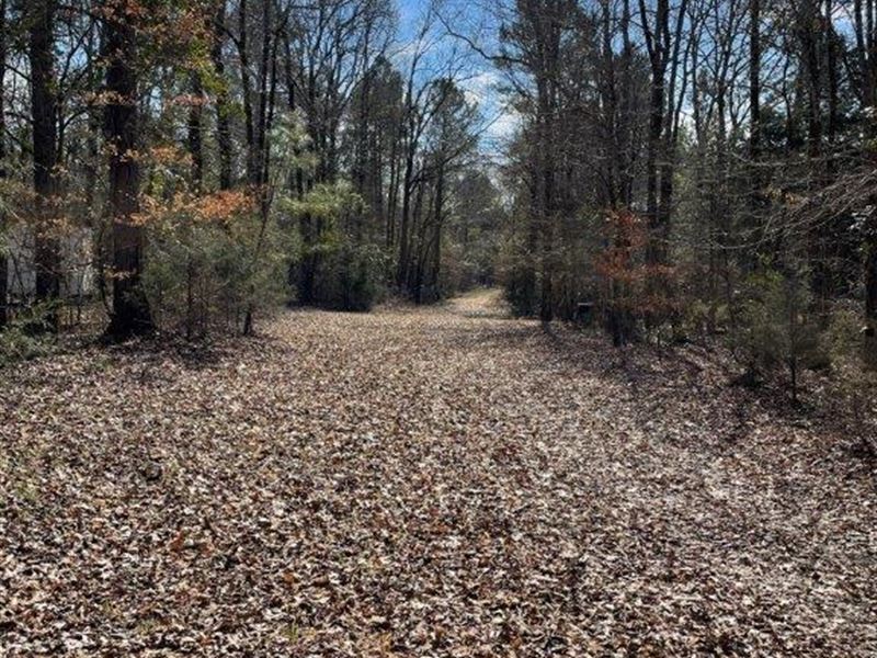 Bertram Creek Farm : Elberton : Elbert County : Georgia