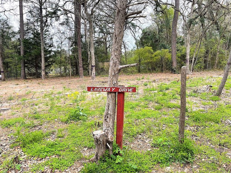 Unrestricted Lake Lot with Electric : Mineola : Smith County : Texas