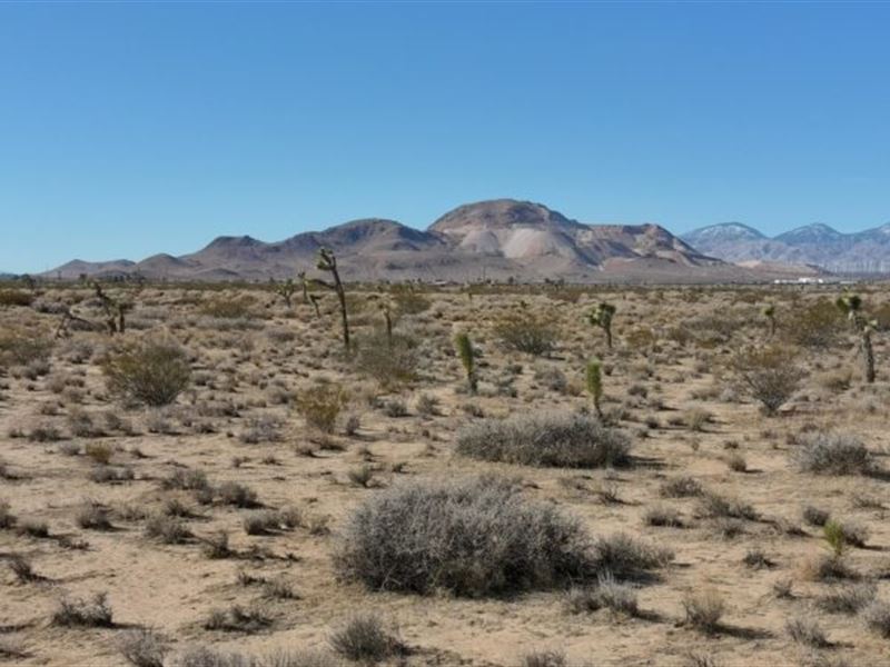 2.5 Acres Located in Mojave : Mojave : Kern County : California