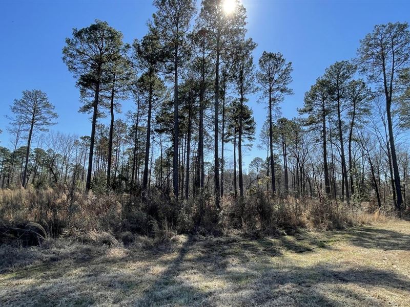 Hwy 8 Near Saline River, Arkansas : Fountain Hill : Ashley County : Arkansas