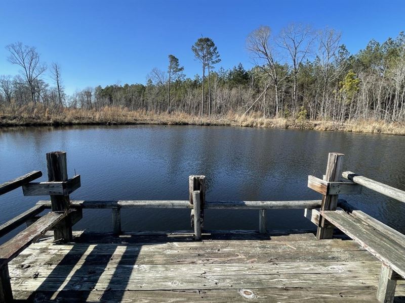 84 Acres with Creeks and Pond : Wilmar : Drew County : Arkansas