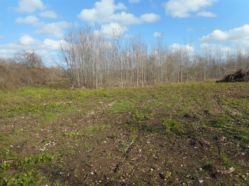 MP Cutoff Rd Homesite : Plaucheville : Avoyelles Parish : Louisiana
