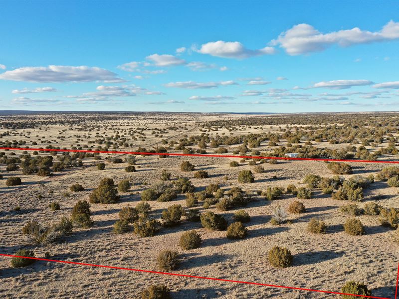 10 Acres Wooded AZ Land, $1375 Down : Saint Johns : Apache County : Arizona