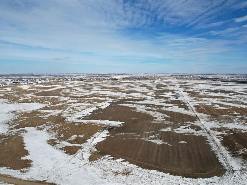 North Dakota Land Auction, 480 Ac : Jamestown : Stutsman County : North Dakota