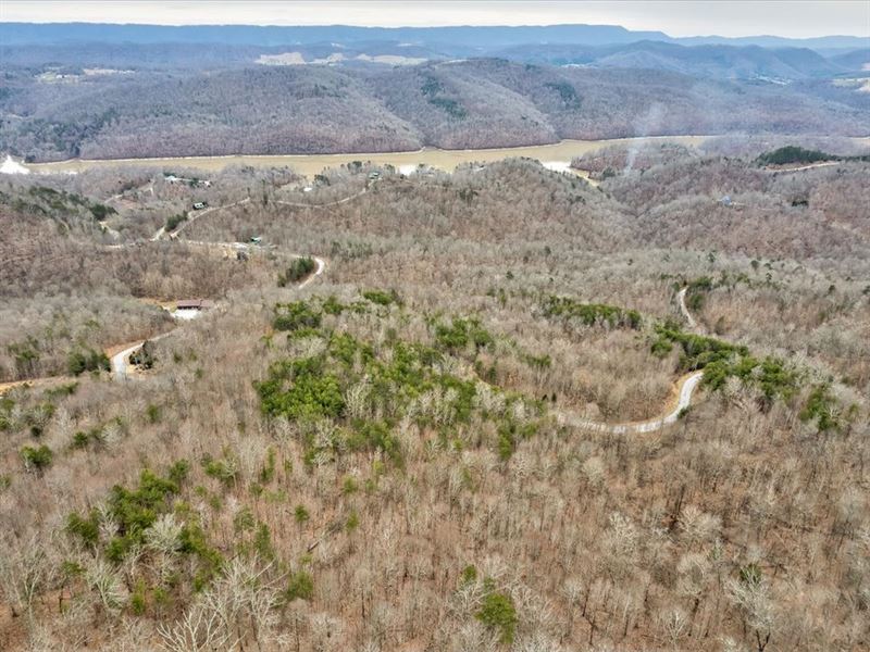 2.64 Acre Lot, Norris Lake Access : New Tazewell : Claiborne County : Tennessee