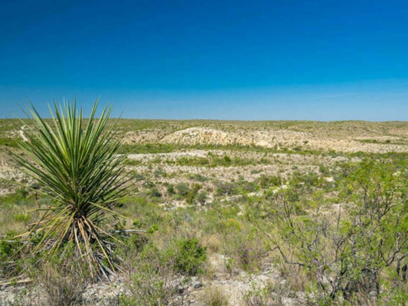 Rock House Ranch, Lot 26 : Dryden : Terrell County : Texas