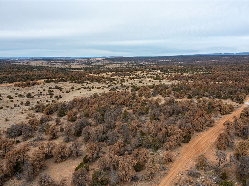 Your Pristine 5.04 Ac Lot : Mountain View : Cibola County : New Mexico