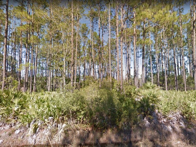.22 Acre Lot for Sale in Florida : Interlachen : Putnam County : Florida