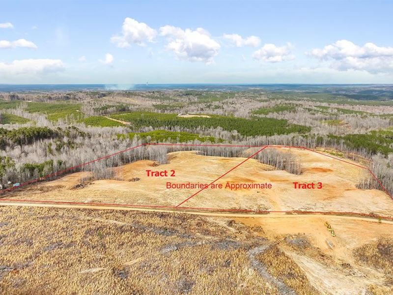 Acreage with a View : Sanford : Harnett County : North Carolina