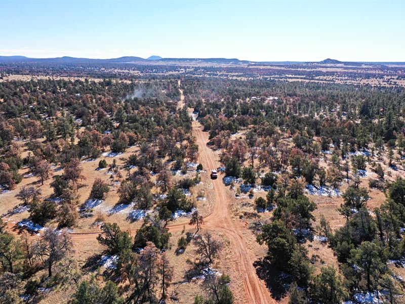 2.5 Ac in Cibola County, $299 Down : Mountain View : Cibola County : New Mexico