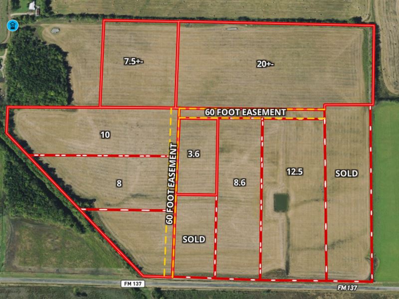20.5 Acres, FM 137 : Pairs : Lamar County : Texas