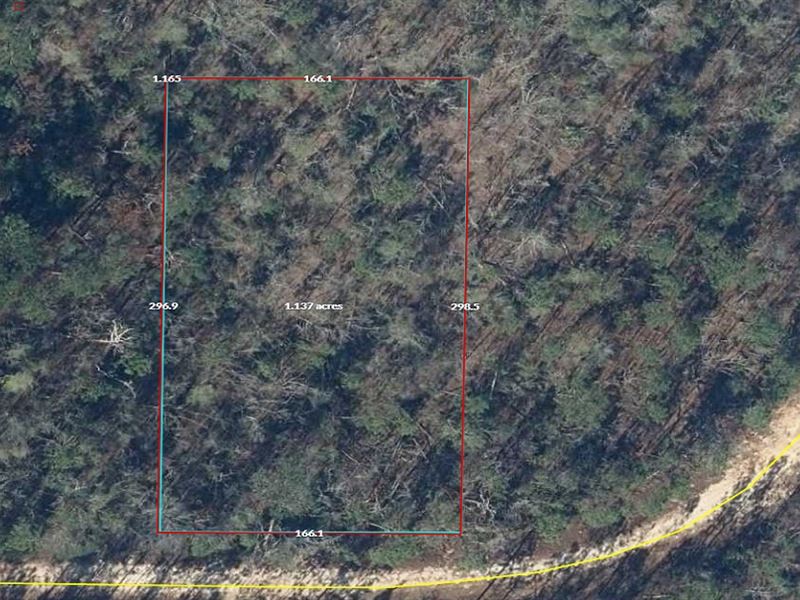 Residential Lot Near Compass Lake : Alford : Jackson County : Florida