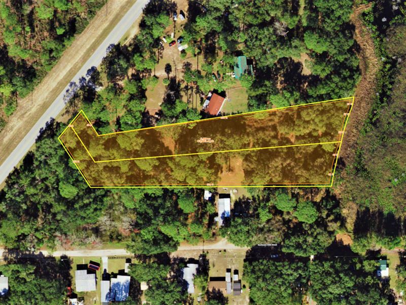 1.9 Acre, Gorgeous Rural Spot : Fort Mc Coy : Marion County : Florida