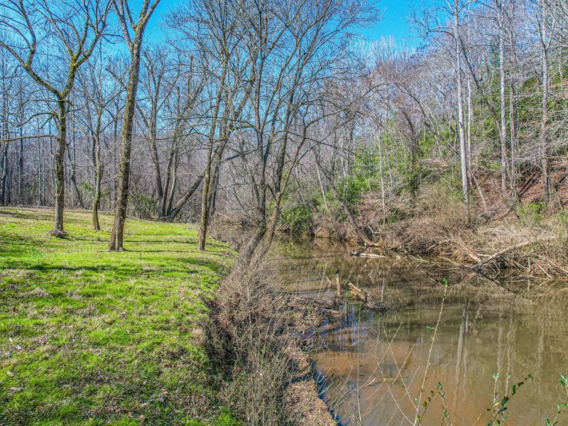 Acreage with River View : Star : Montgomery County : North Carolina