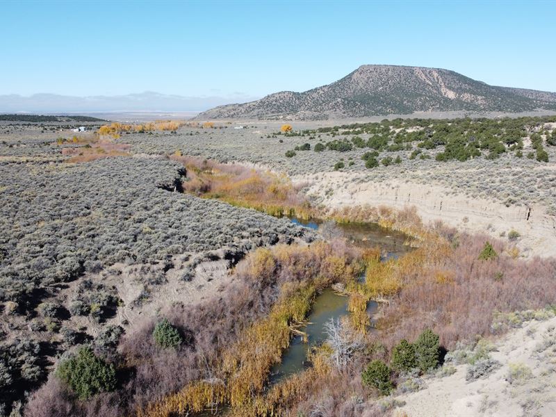 On The Creek in Sangre DE Cristo : Fort Garland : Costilla County : Colorado