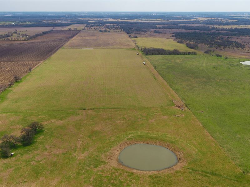 62 Acres in Milam County, Texas : Rockdale : Milam County : Texas