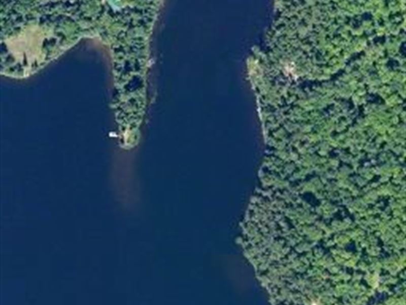 Secluded Fence Lake Lot 13 : Michigamme : Baraga County : Michigan