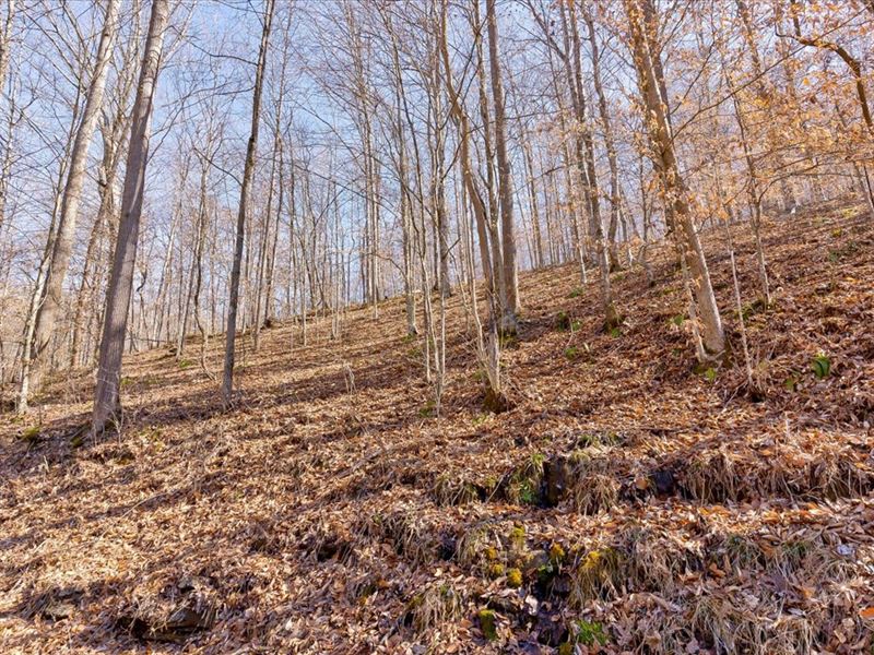 Unrestricted Lot, Claiborne County : Harrogate : Claiborne County : Tennessee