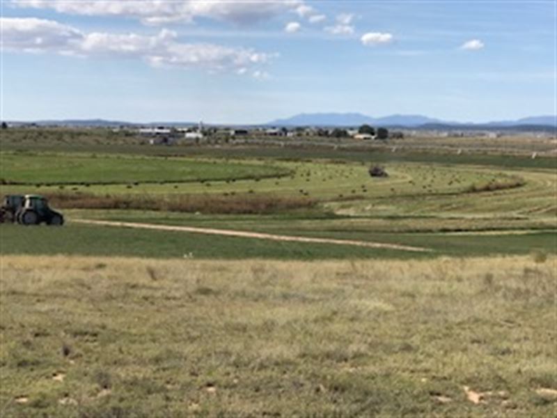 Producing Hay Farm : Stanley : Santa Fe County : New Mexico
