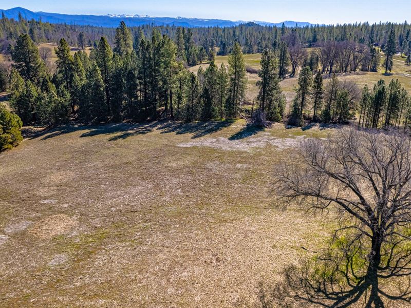 Greeley Hill Ranch, Parcel : Greeley Hill : Mariposa County : California