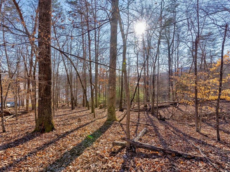 Cherokee Lakefront Building Lot : Mooresburg : Hawkins County : Tennessee