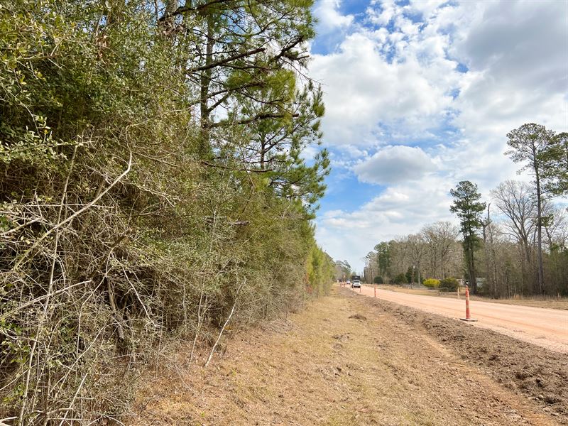 21 Acres, T-4 FM 1746 : Town Bluff : Tyler County : Texas