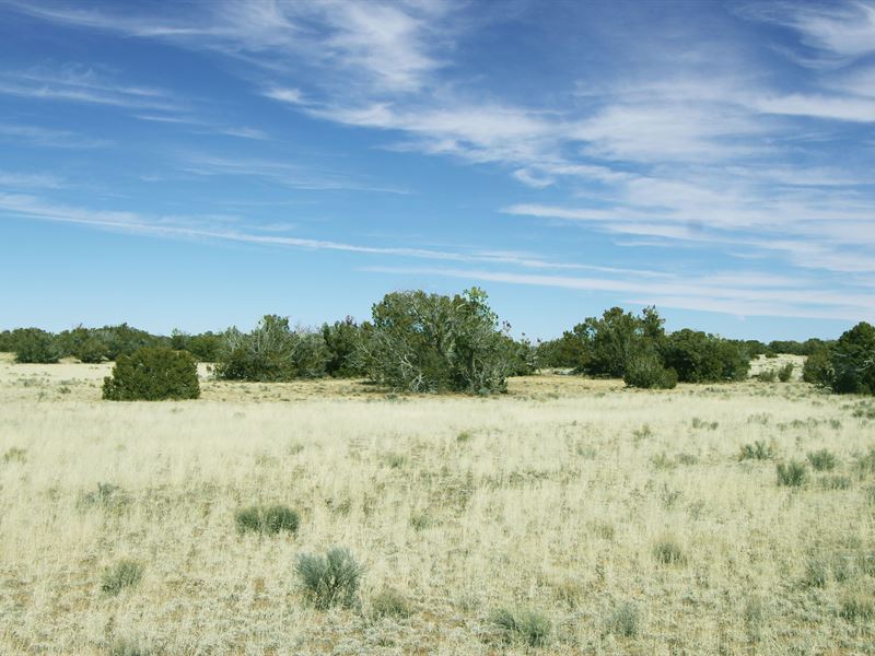 Horizon Ranch Retreat : Saint Johns : Apache County : Arizona