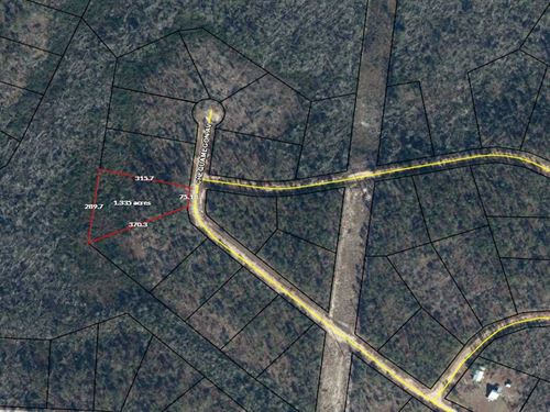 Equestrian Friendly Land : Alford : Jackson County : Florida