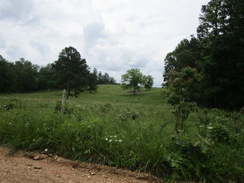 Land for Sale in Southern Missouri : Summersville : Texas County : Missouri