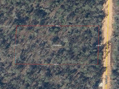 Acre in Compass Lake in The Hills : Alford : Jackson County : Florida