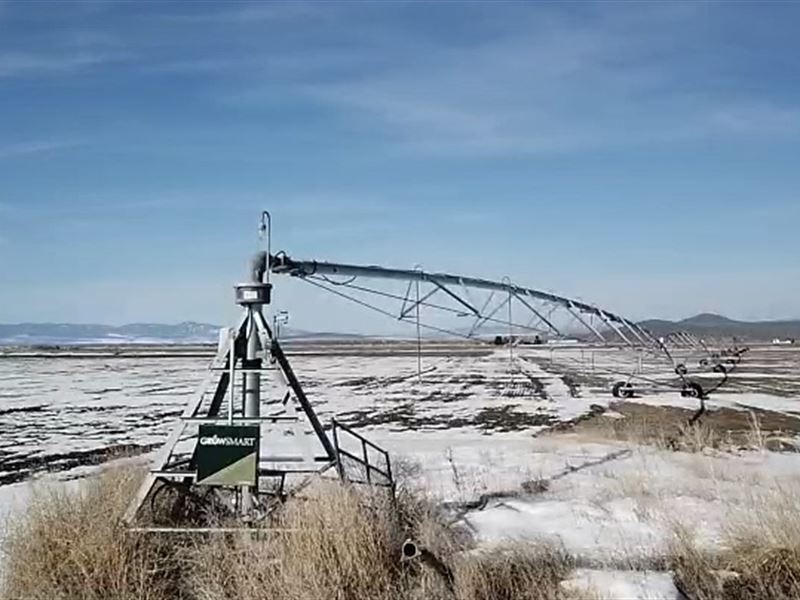 Wingville Pivot Farm : Baker City : Baker County : Oregon