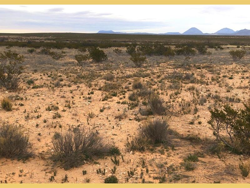 20 Acres in Hudspeth County, TX Land for Sale by Owner in Cornudas