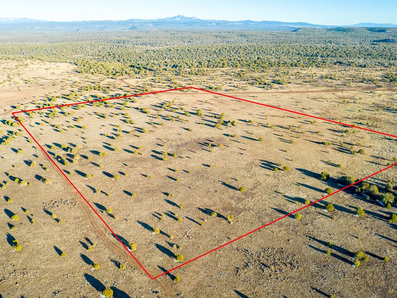 40.15 Ac in Ash Fork, AZ $15K Down : Ash Fork : Coconino County : Arizona